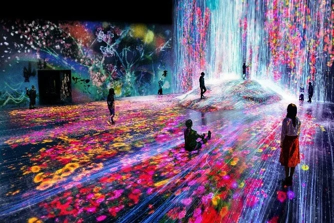 teamLab Borderless Tokyo: Tickets, Discounts and Hotels Explained (Sep 2024)