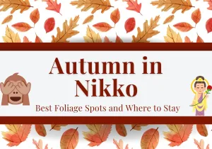 Autumn in Nikko Best Foliage Spots and Where to Stay