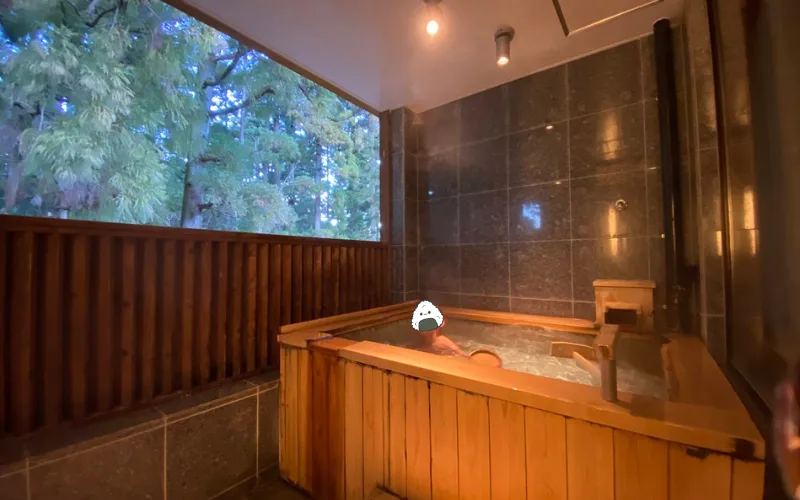 Suishoen Maisonette Room