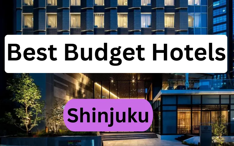 Shinjuku Budget
