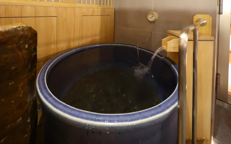 Dormy Inn Premium Ginza Room