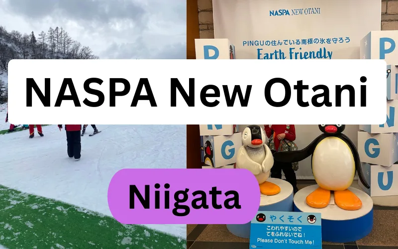 NASPA Ski Garden